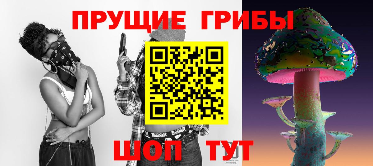 Псилоцибиновые грибы мухоморы Тамбов