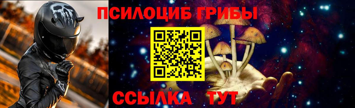 Галлюциногенные грибы ЛСД  Вход с VPN  Тамбов  Псилоцибиновые грибы Psilocybine cubensis 